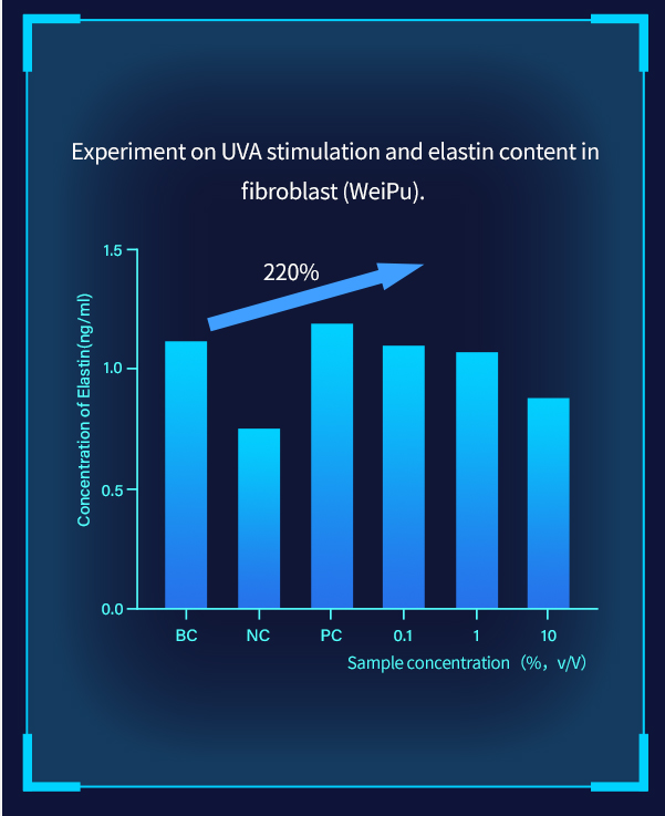 According to Hunter Biotech and WeiPu Testing Organization, it has been found that Smartender Regenerative Collagen is non-toxic and has wrinkle-reducing and firming effects.